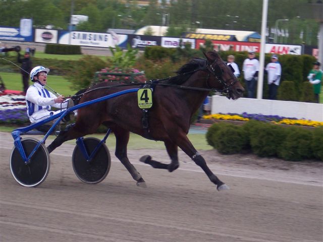 Jag Finale Solvalla 06.jpg