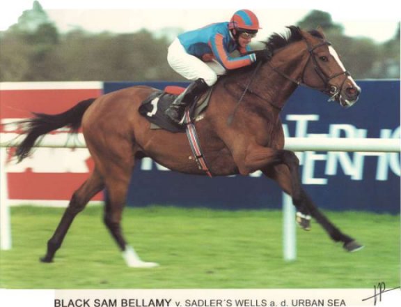 blacksambellamy.jpg