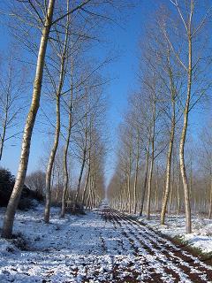 PISTE SOUS LA NEIGE.JPG