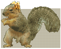 sqdance.gif