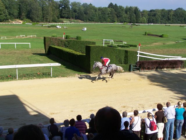 100_2714 [640x480].JPG