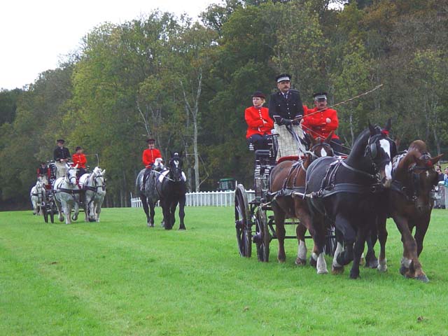 Attelages sur l'hippodrome.JPG