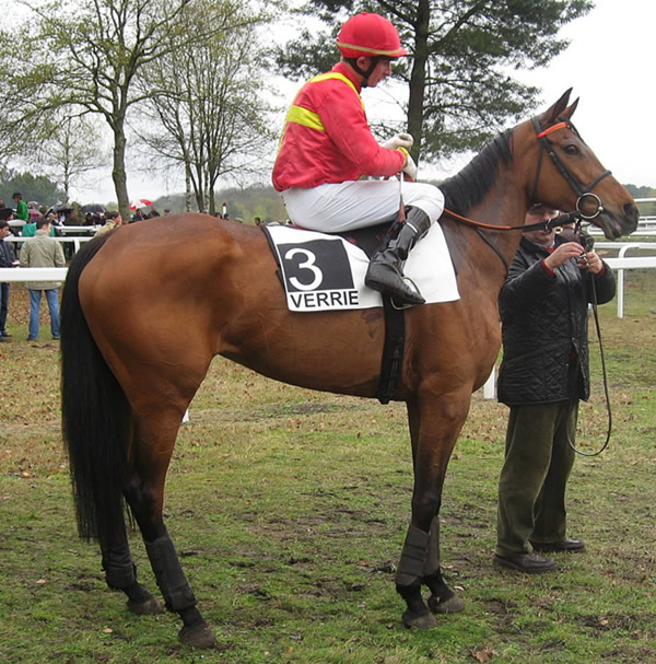Saumur-13avril2008- NarvineSale (2).jpg