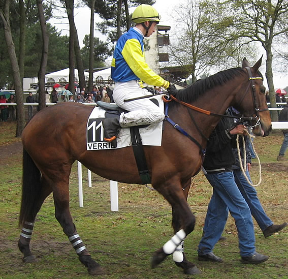 Saumur-13avril2008- Kineda.jpg