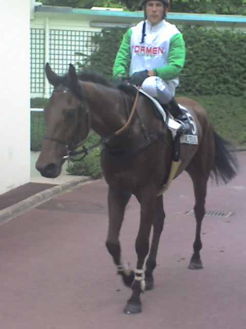 aqefir d airy.jpg