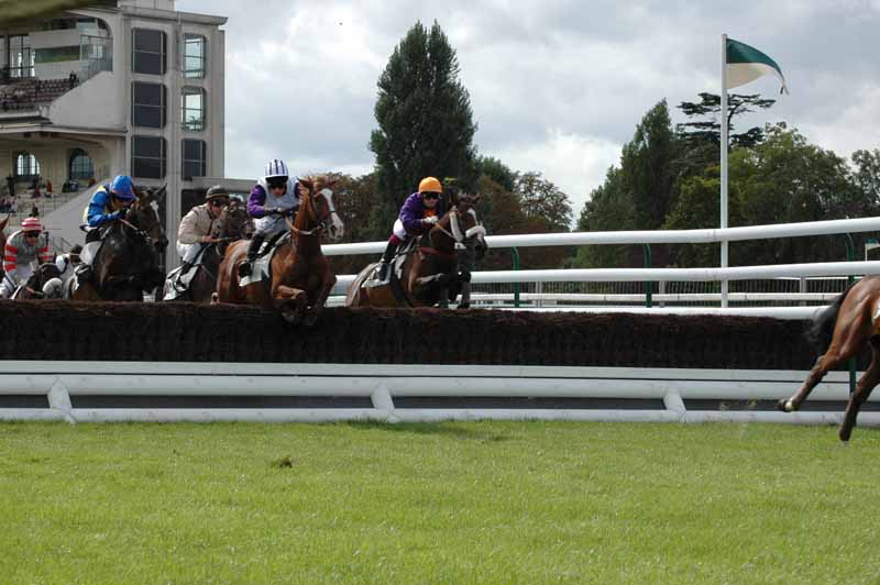 47 L Oxer 4e Course.jpg