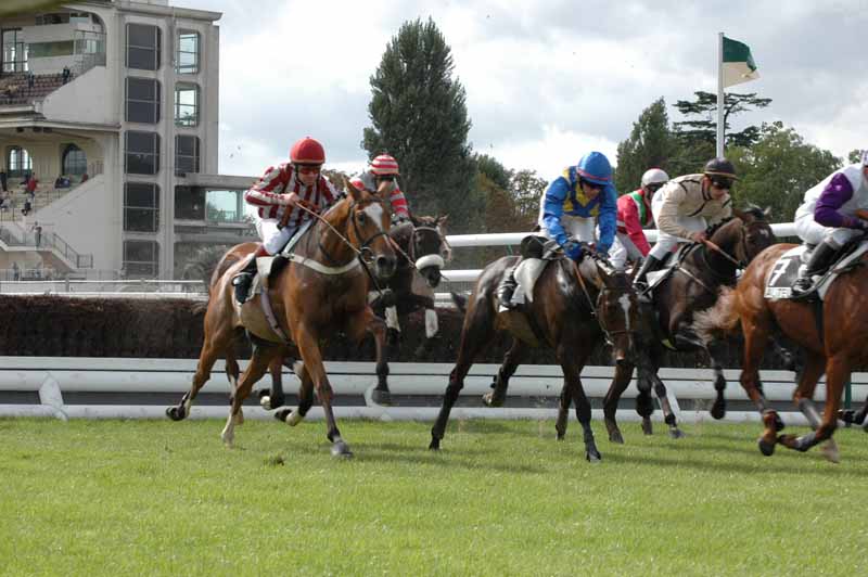 48 L Oxer 4e Course.jpg