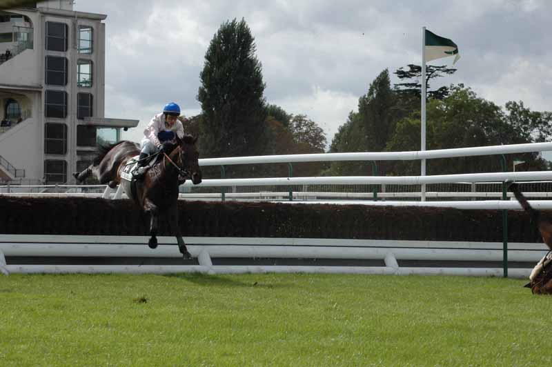 49 L Oxer 4e Course.jpg