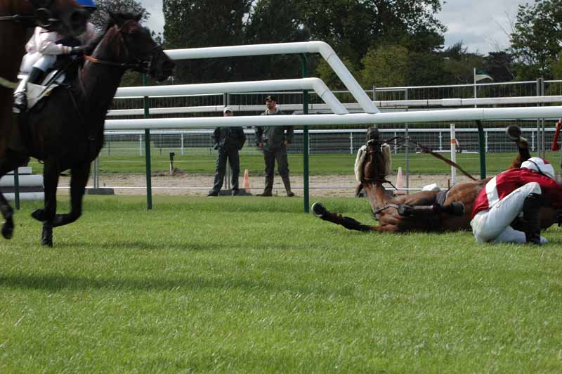 50 Chute de Priorid'ouilly Oxer 4e Course.jpg