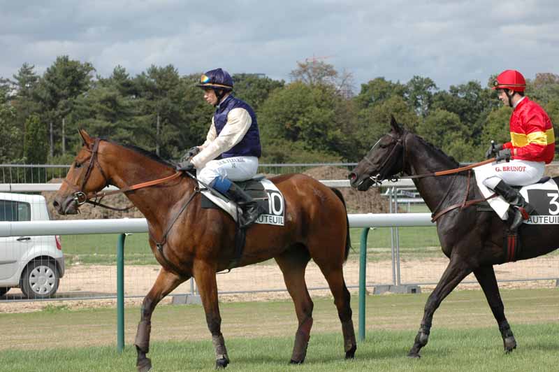 52 Les chevaux arrets 4e Course.jpg