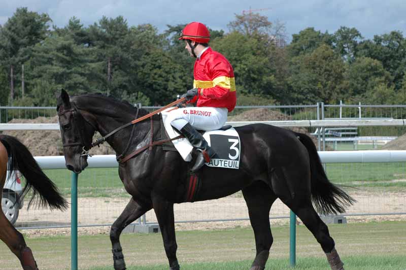 53 Les chevaux arrets 4e Course.jpg