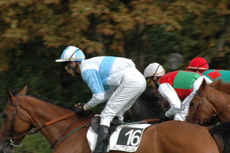 79 6e course.jpg