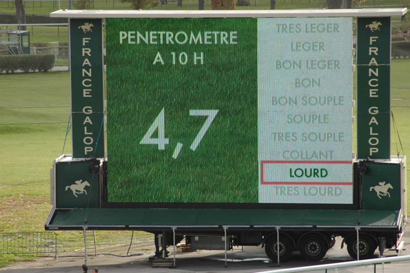 6 AUTEUIL 8 11 2008.jpg