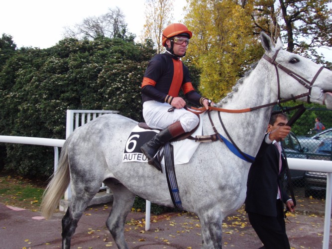 Prix de la Haye            Jousselin                Louping D'Ainay  D Gallagher [].jpg