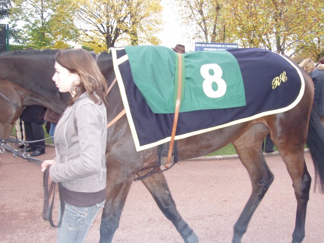 Grande Course de haies des 3 ans    Bakara du Berlais [].jpg