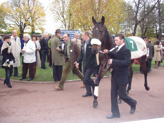 Grande Course de haies des 3 ans Long Run [].jpg