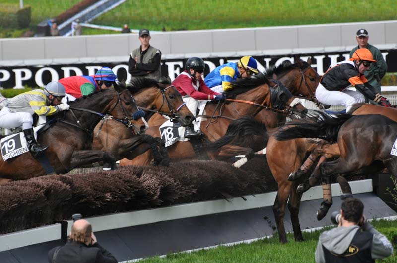 158 la haie des tribunes 7e course.jpg