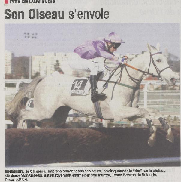 Son Oiseau.JPG