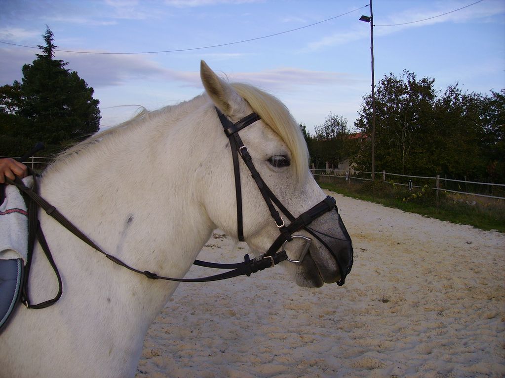 PICT1127 [Rsolution de l'cran].JPG