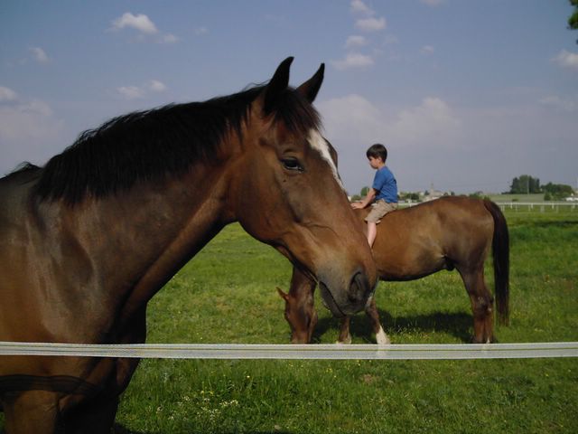 DSCI0048 [640x480].JPG