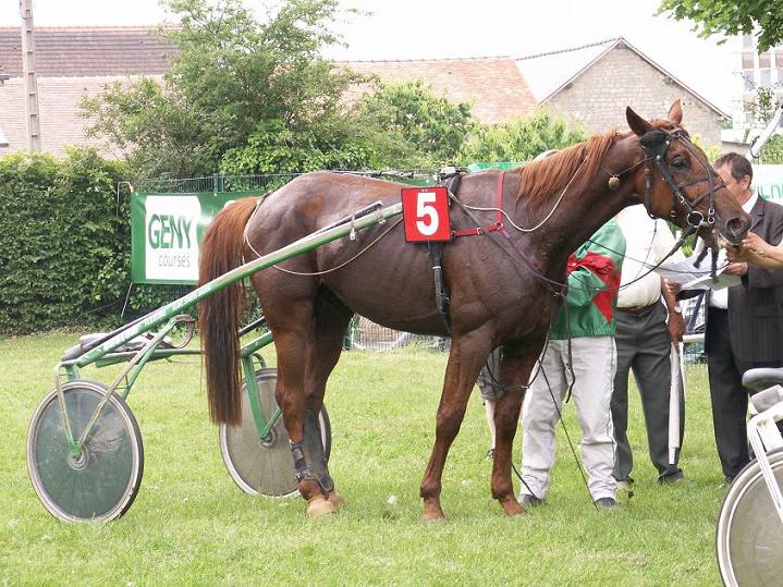 QUICK TY CREIS aux balances.JPG