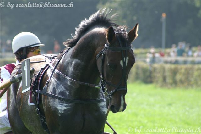 060924 ZH BLANC 030_prot.jpg