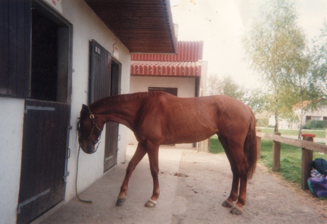 IMG.jpg