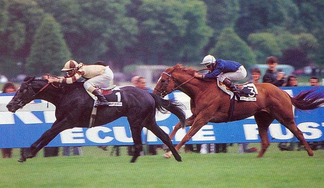 Highest Honor prix d'Ispahan.JPG