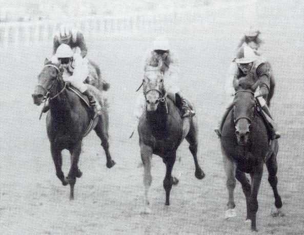 linamix Champion Stakes.JPG