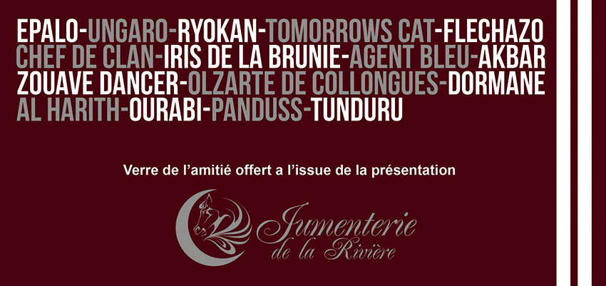 presentation-etalons2013-versoweb.jpg