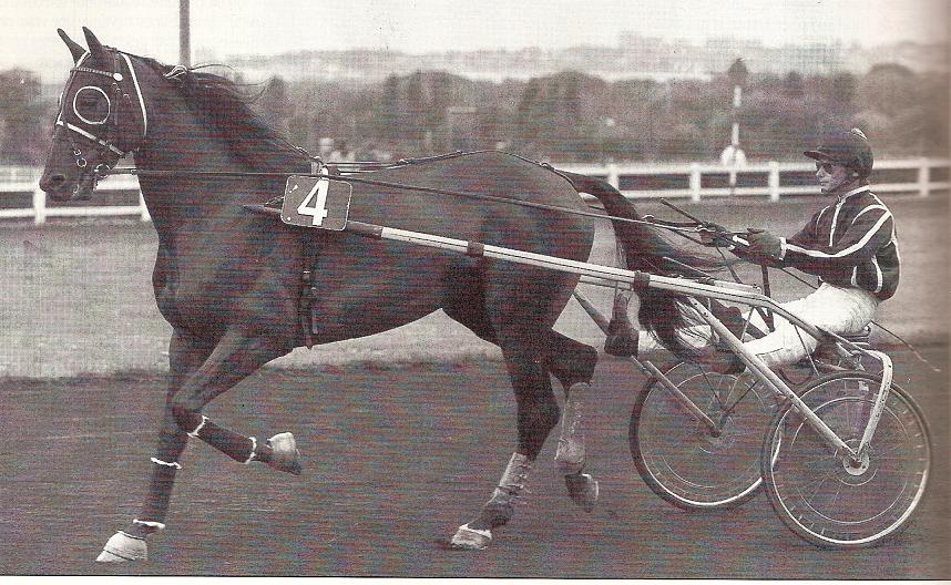 duc de vrie.jpg
