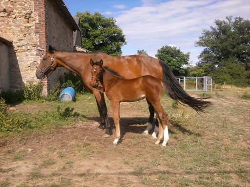 2011-06-22 17.13.12.jpg