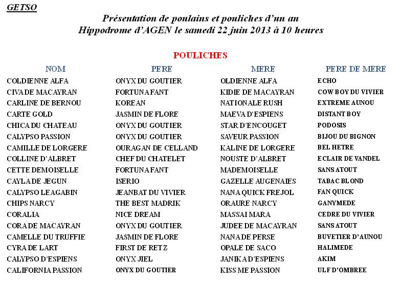 GETSO22juinpouliches.JPG