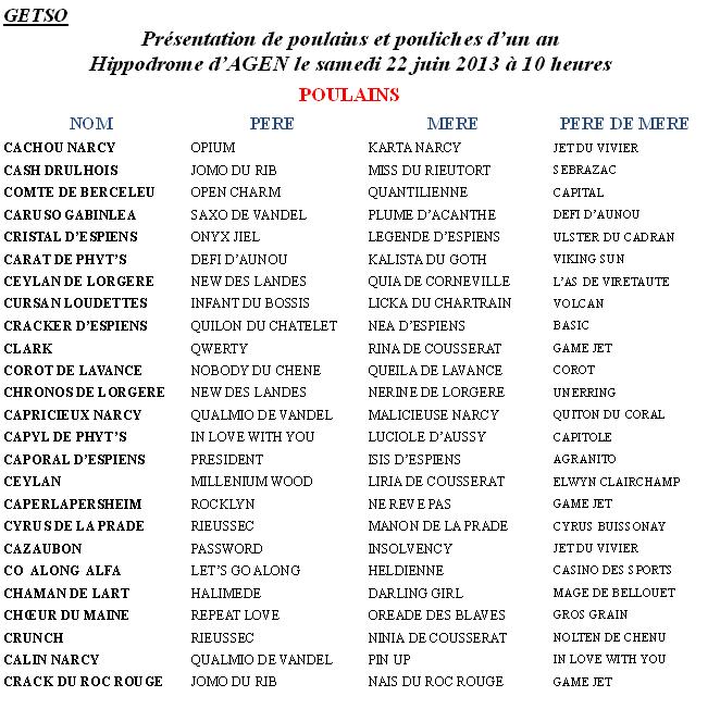 GETSO22juinPOULAINS.JPG